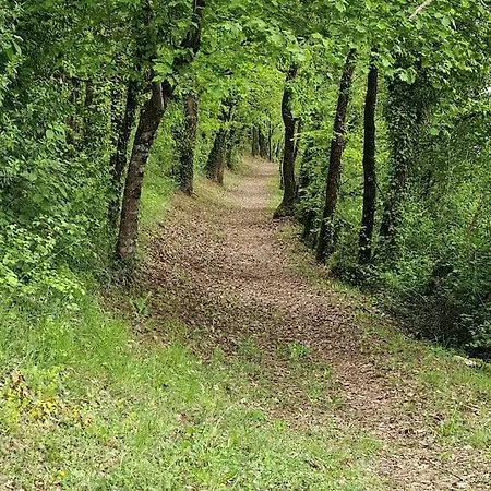 Maison A La Campagne Ideale Famille Et Amis